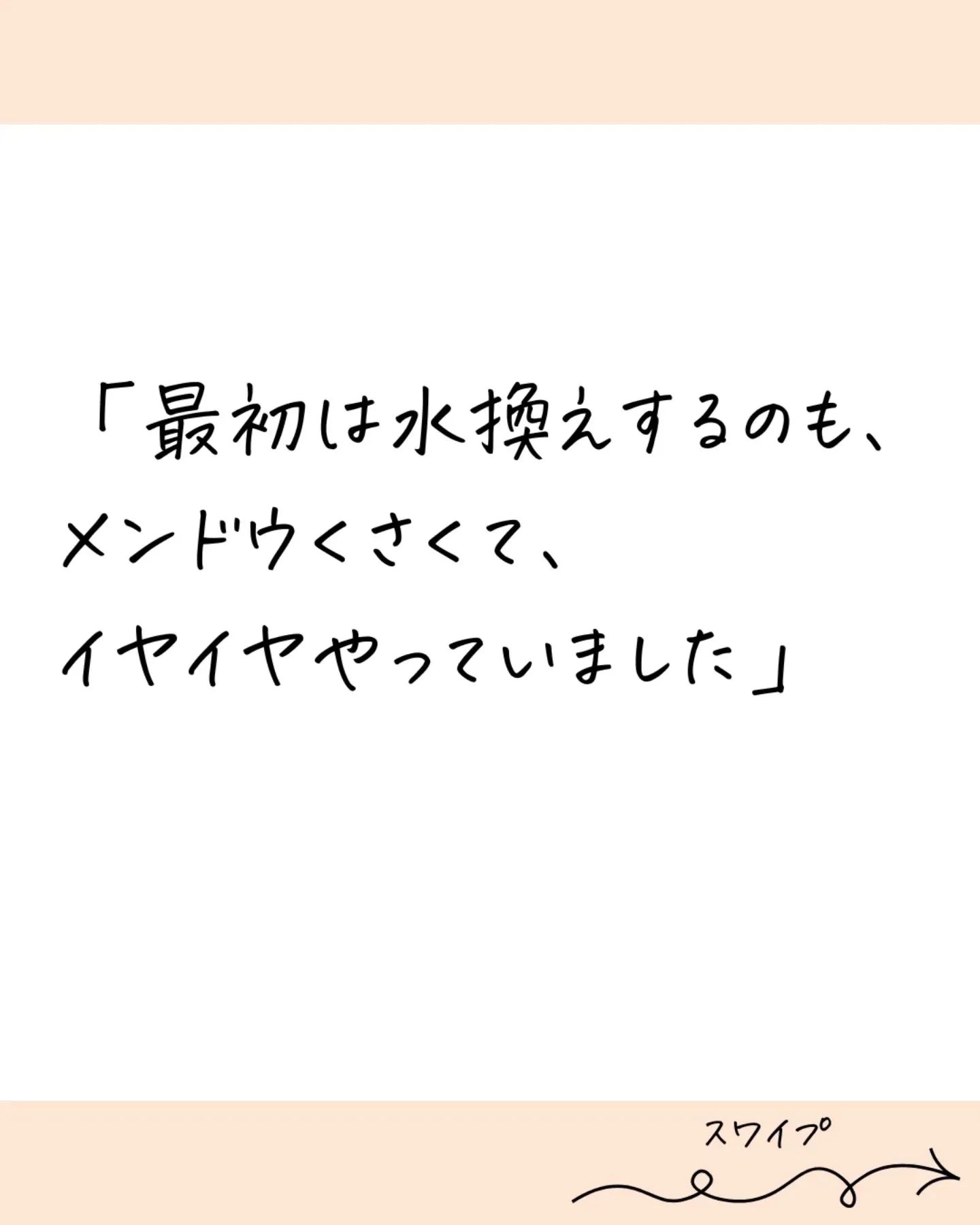 @budou_to_yanagi ←他の投稿はこちらから