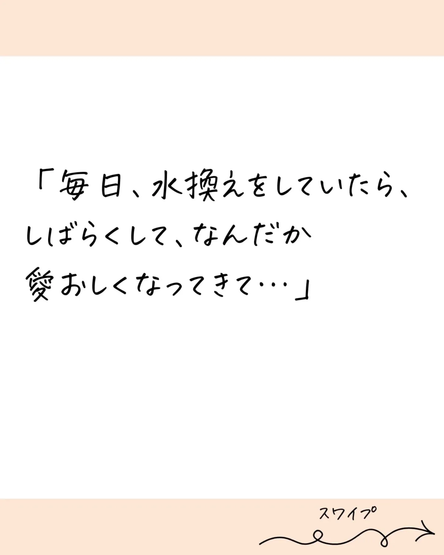 @budou_to_yanagi ←他の投稿はこちらから