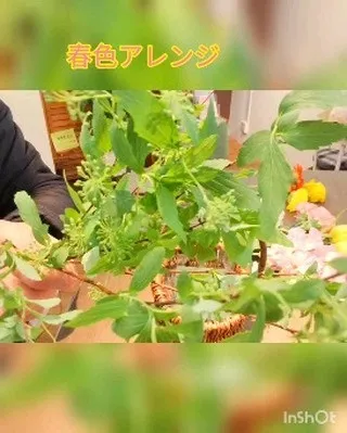 【リール動画に挑戦】