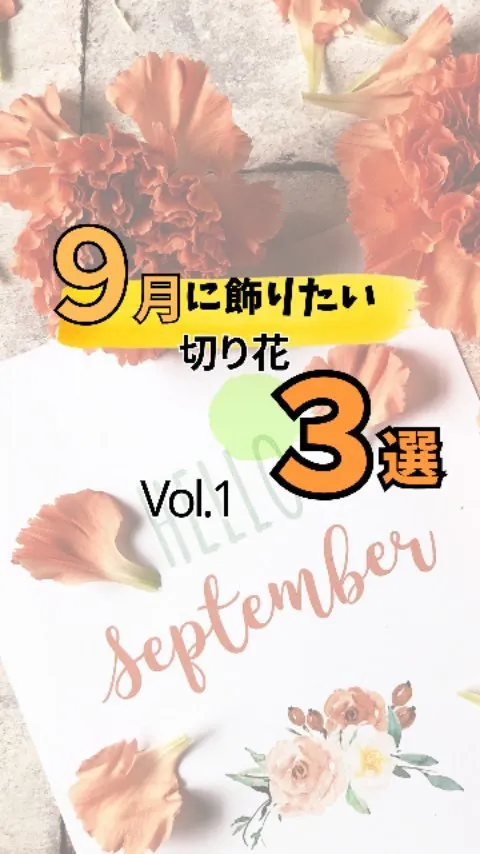 【９月に飾りたい切り花３選！】