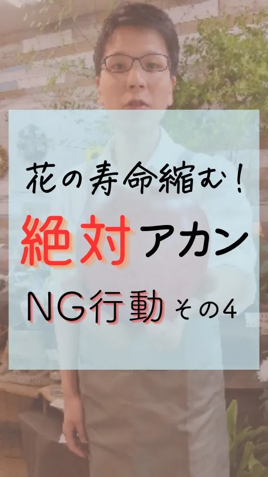 花の寿命縮む！『絶対、アカン！』その4