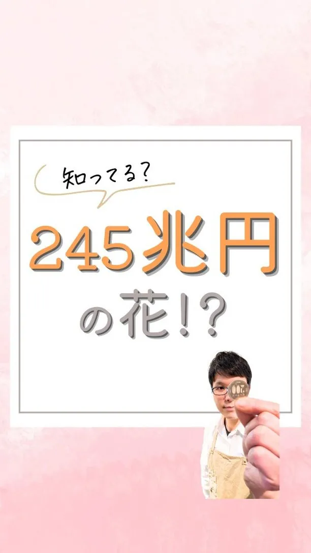 【知ってる!?“245兆円“”の花】